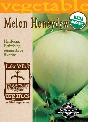 Melon Honeydew - Item #4060