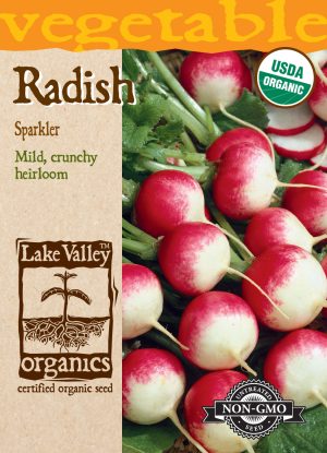 Radish Sparkler - Item #4062