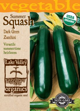 Squash (Summer) Zucchini Dark Green
