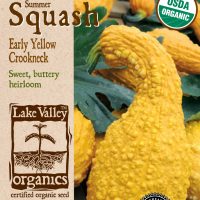 Squash (Summer) Early Yellow Crookneck