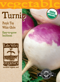 Turnip Purple Top White Globe - Item #4068