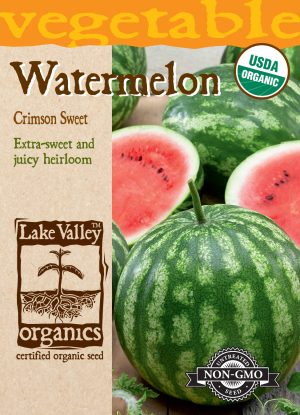 Watermelon Crimson Sweet