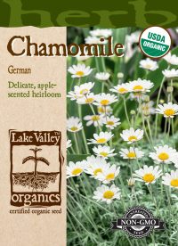 Chamomile German - Item #4070