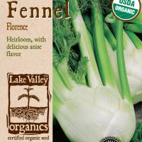 Fennel Florence - Item #4072