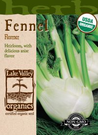 Fennel Florence - Item #4072