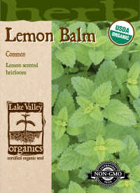 Organic Lemon Balm Common