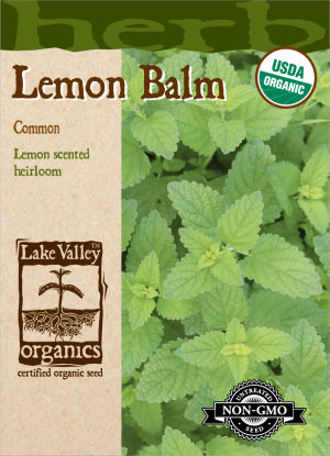 Organic Lemon Balm Common