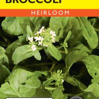 Broccoli Chinese Kailaan