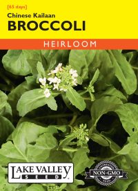 Broccoli Chinese Kailaan