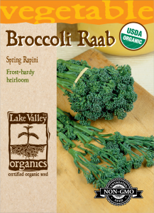 Broccoli Raab Spring (Rapini) – Item #4130