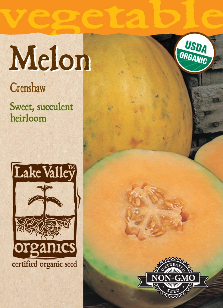 Melon Crenshaw Item 4131 Lake Valley Seed