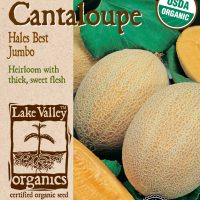 Cantaloupe Hales Best Jumbo