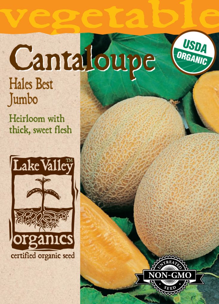 Cantaloupe Hales Best Jumbo Item 4132 Lake Valley Seed