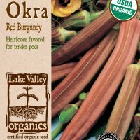 Okra Red Burgundy