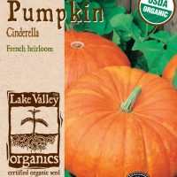 Pumpkin Cinderella - Item #4138
