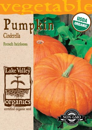 Pumpkin Cinderella - Item #4138