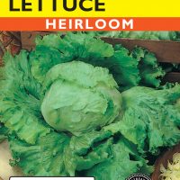 Lettuce Great Lakes Iceberg