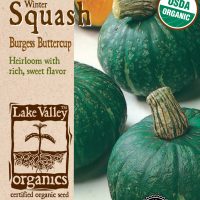 Squash (Winter) Burgess Buttercup