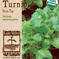 Turnip Seven Top