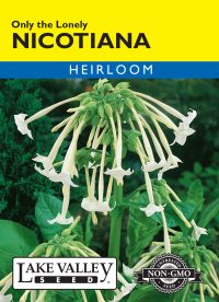 Nicotiana Only The Lonely