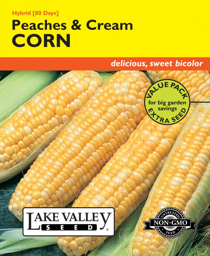 Corn Sweet Peaches & Cream Hybrid Item 4182 Lake Valley Seed