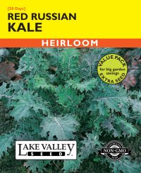 Kale Red Russian