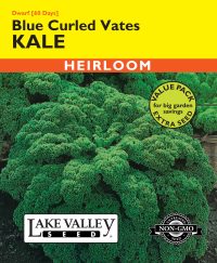 Kale Dwarf Blue Curled Vates