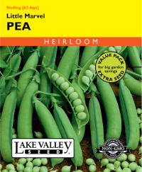 Pea Little Marvel (Bush) Item #419