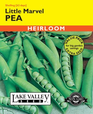 Pea Little Marvel (Bush)