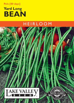 Bean (Pole) Yard Long