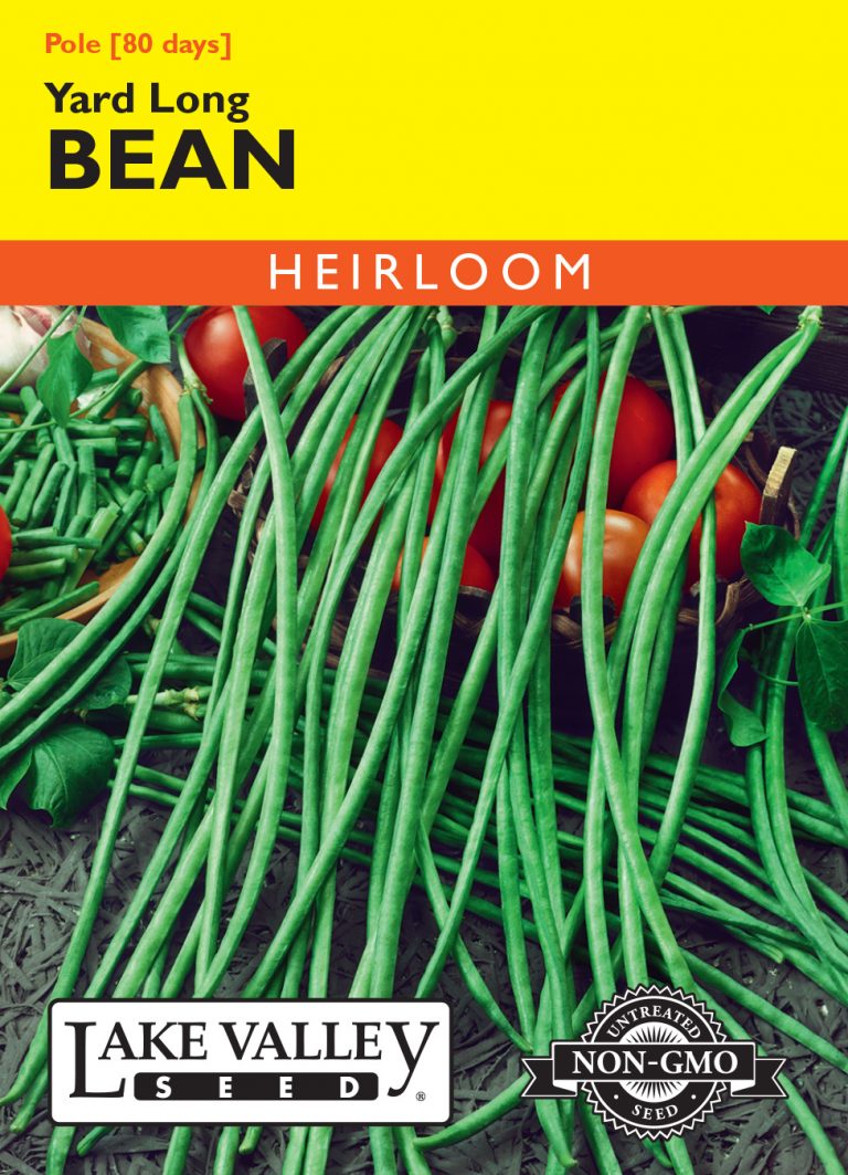 Bean (Pole) Yard Long Item 42 Lake Valley Seed
