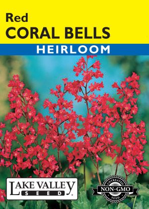 Coral Bells Red