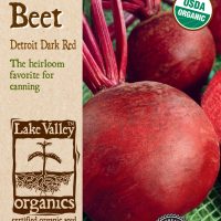 Beet Detroit Dark Red