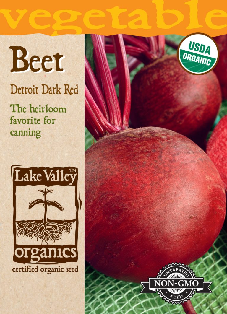 Beet Detroit Dark Red Item 4281 Lake Valley Seed