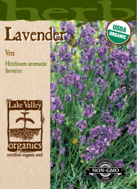 Lavender Vera - Item #4283