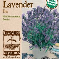 Lavender True - Item #4283