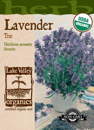 Lavender True - Item #4283