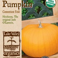 Pumpkin Connecticut Field