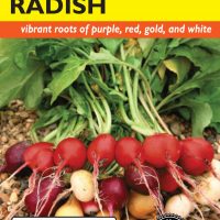 Radish Rainbow Blend