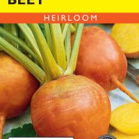 Beet Golden - Item #43
