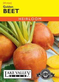 Beet Golden - Item #43