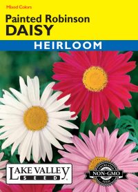Daisy Painted Robinson