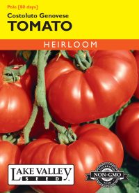 Tomato (Pole) Costoluto Genovese