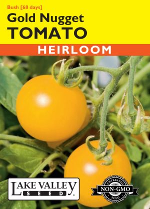 Tomato (Bush) Gold Nugget