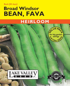 Bean Fava Broad Windsor
