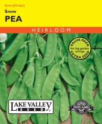Pea Snow (Bush) - Item #4367