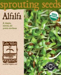 Alfalfa sprouting seed