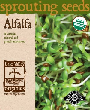 Alfalfa sprouting seed