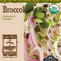 Broccoli - Item #4370