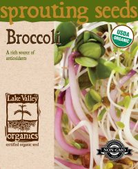 Broccoli - Item #4370